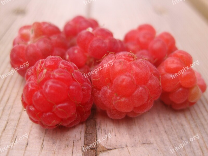 Raspberry Finland Berry Wild Raspberry Forest