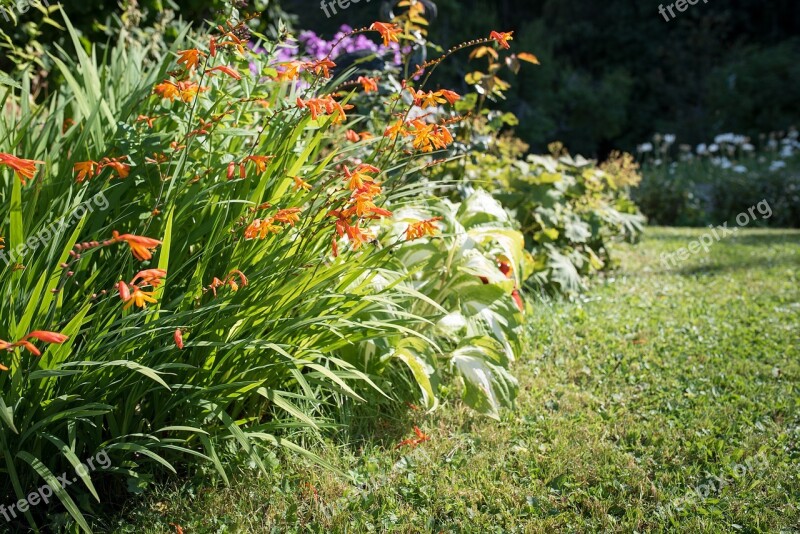 Garden In The Garden Nature Late Summer Autumn