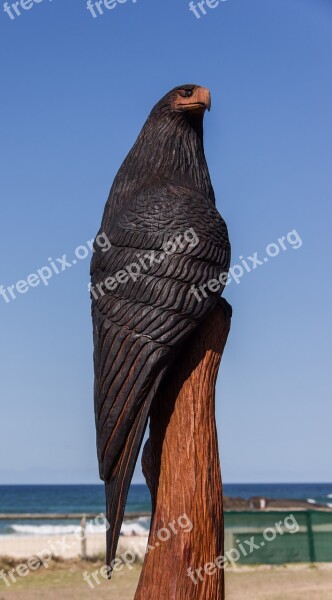 Bird Raptor Carving Wood Chainsaw