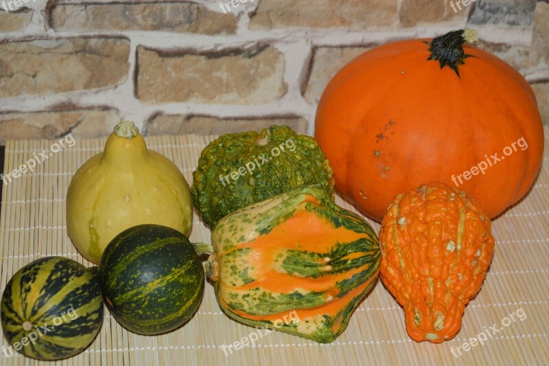 Pumpkins Decorative Squashes Decoration Autumn Colorful