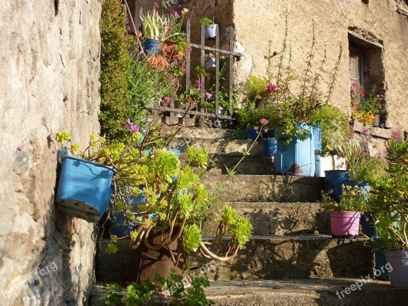 Flowers Summer Stairs Entry Free Photos