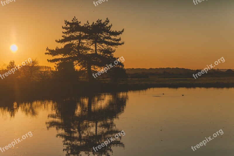 Sunset Nature Orange Trees Sun