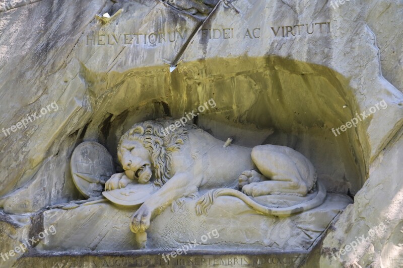 Lion Lucerne Lion Of Lucerne Stone Lion Free Photos