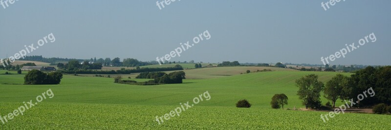 Landscape Wood Mark Natural Late Summer