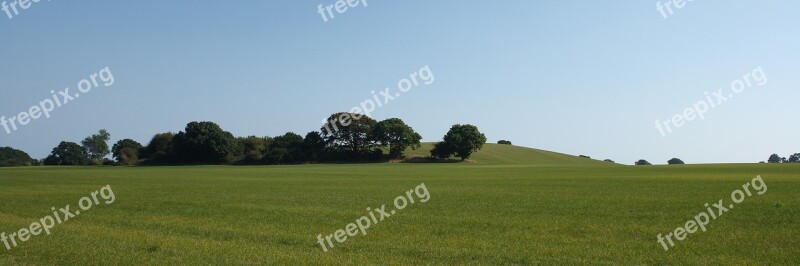 Landscape Wood Mark Natural Late Summer