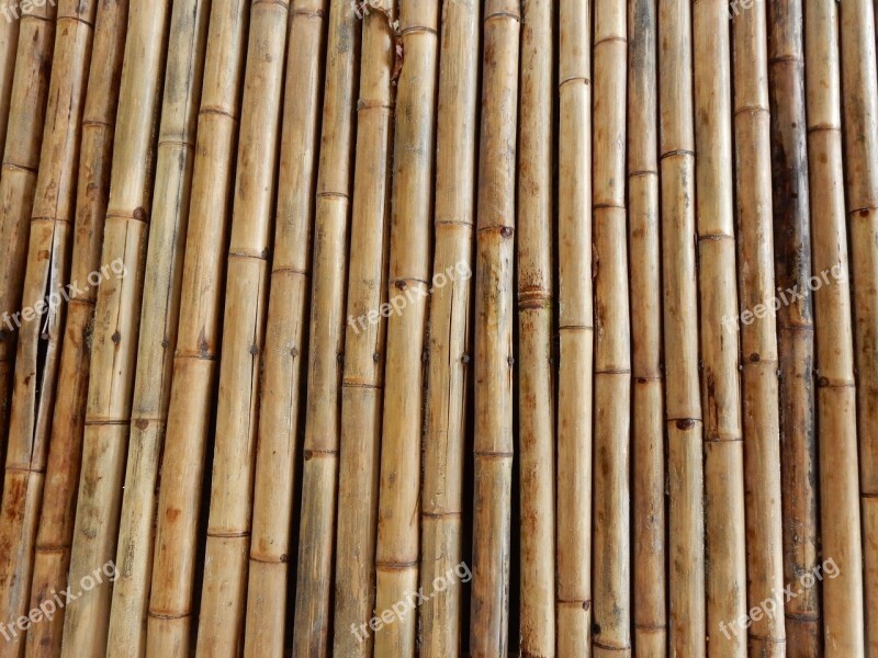 Bamboo Structure Texture Bamboo Rods Bamboo Cane