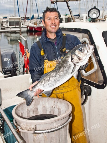 Fish Wolf Sea Fishermen Traditional Fishing