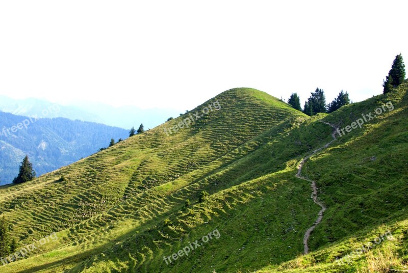 Alm Greened Meadow Gary Long Oberstdorf