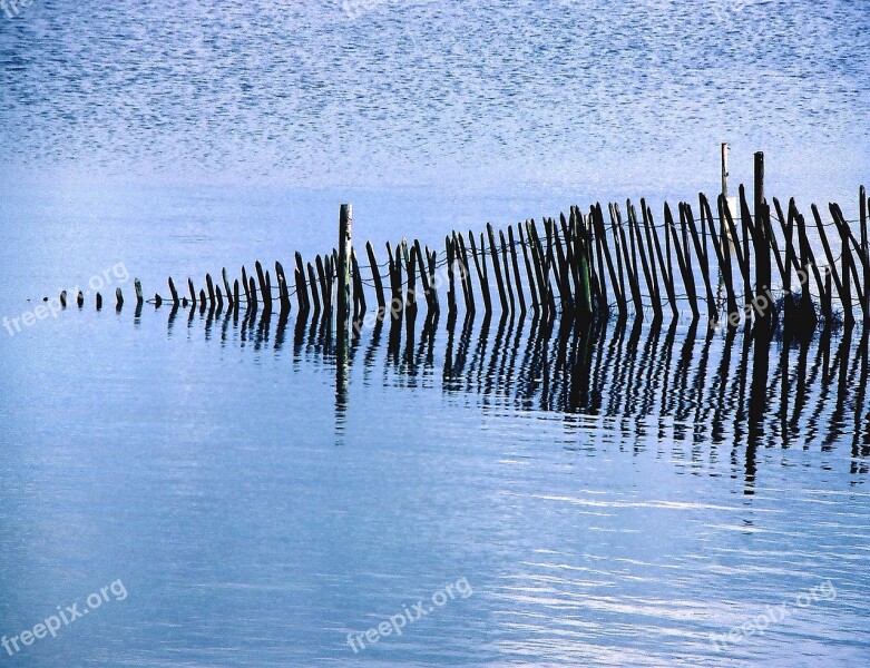 Fence Fencing Wood Wooden Wire