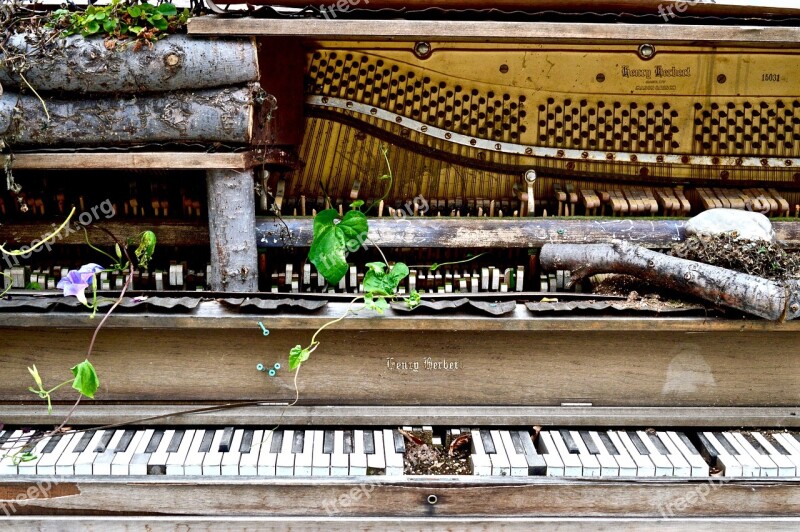 Piano Broken Old Abandoned Wrecked