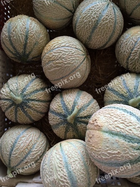 Cantaloupe Melons Fruit Nature Orange