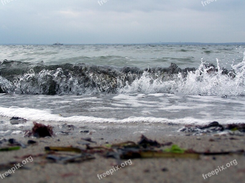 Baltic Sea Pelzerhaken Germany Beach Coast