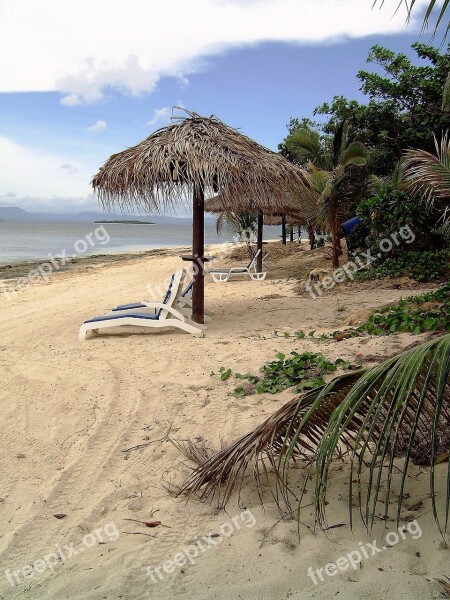 Fiji Beach Tropics Holiday Free Photos