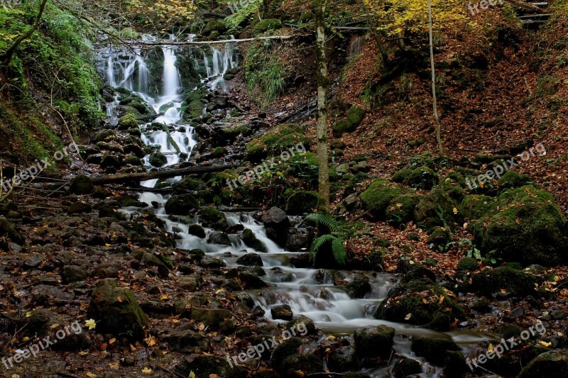 Bolu Seven Lakes Landscape Autumn Dry Leaves