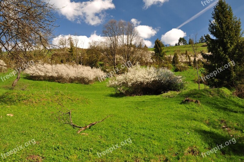 Poland Pieniny White Water Meadow Nature