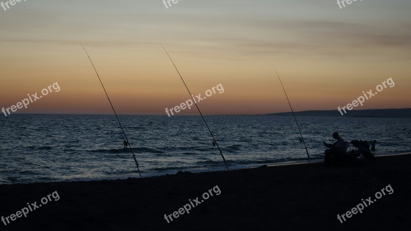 Fish Sea Evening Twilight Rest