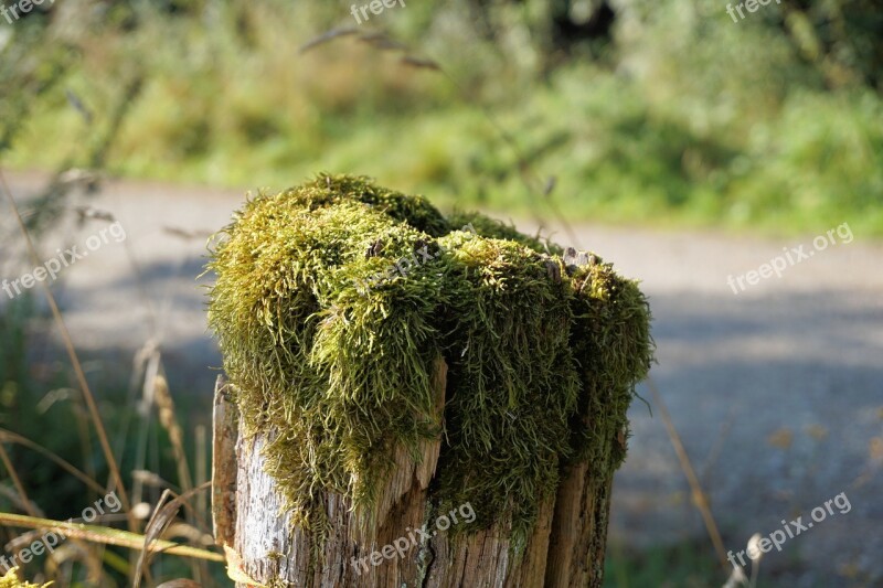 Fence Pile Fence Post Pasture Post