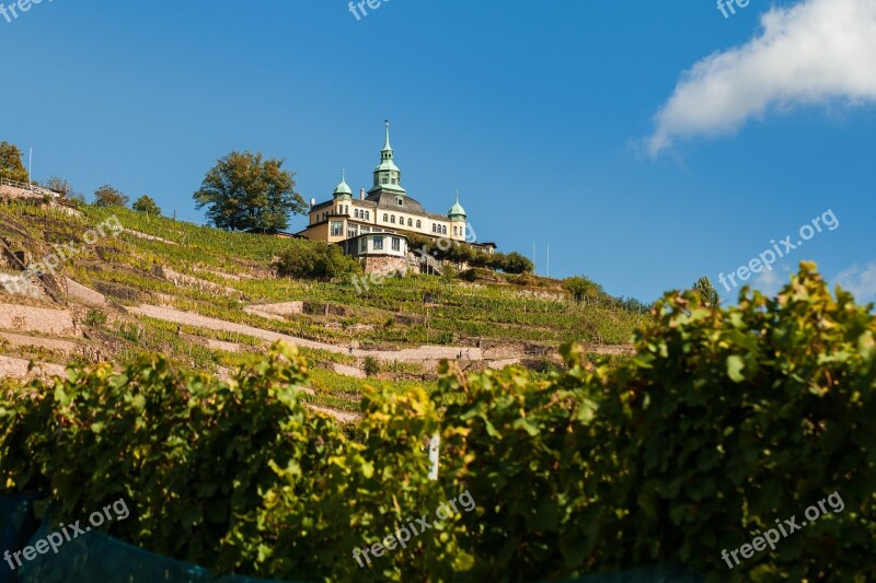 Radebeul Spitz House Vineyard Winegrowing Wine