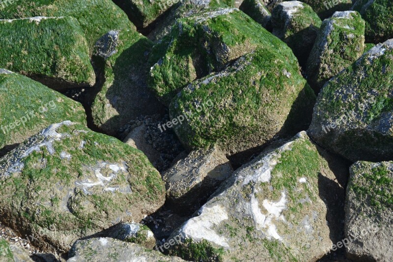 Breakwater Texture Pierre Alga Sea