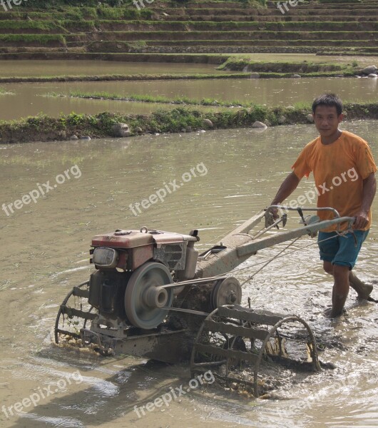 Farmer Laos Agriculture Work Farm