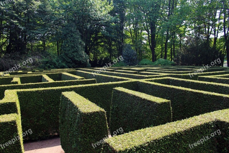 Labyrinth Maze Garden Hedge Structure