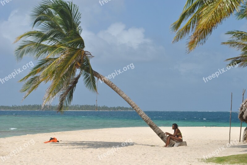 Palm Tree Beach Women Sea Nature