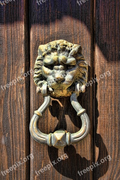 Doorknocker Lion Head Door Metal Input