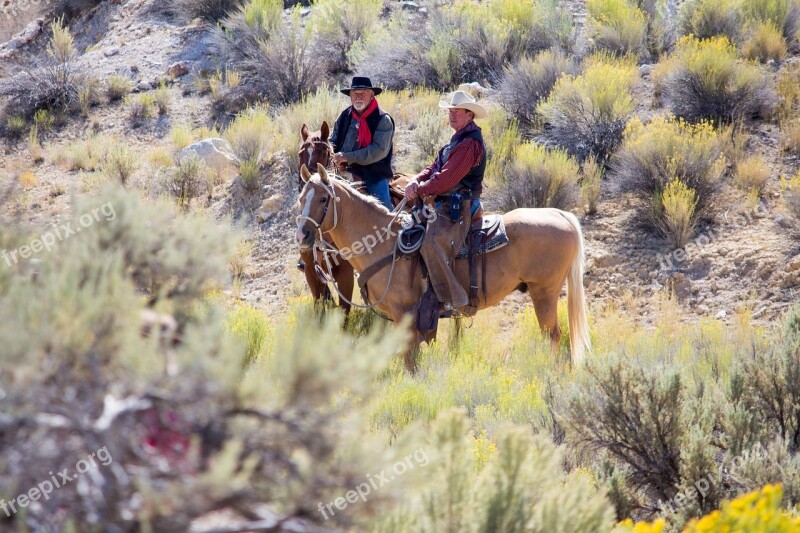 Horse Cowboy Nature Western Horseback