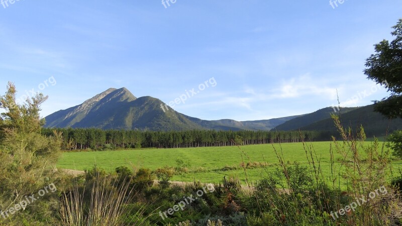 Western Cape Tsitsikamma South Africa National Park Nature