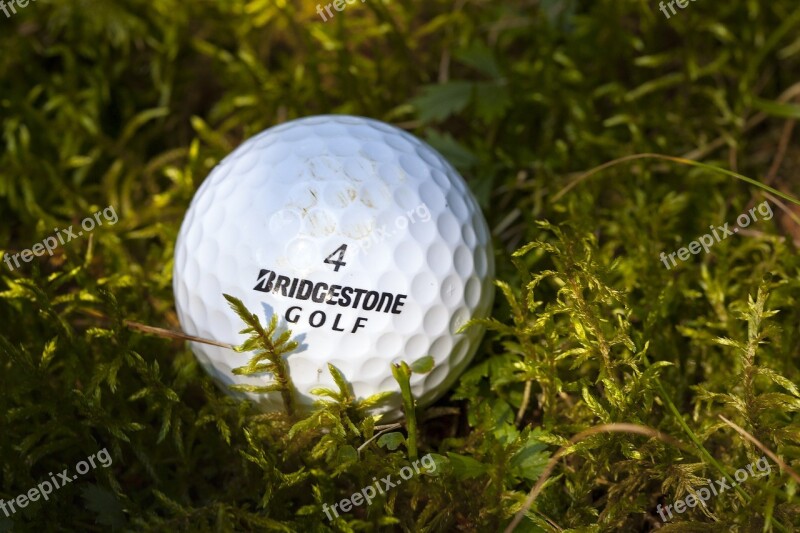 Lost Ball Golf Moss Tale Bridgestone Golf 4