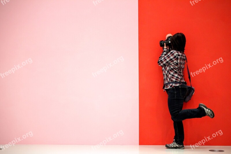 Pink-red Lines Photographer Poznan Art Gallery