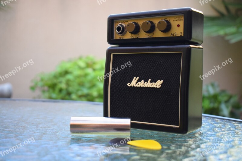 Marshall Amplifier Music Garden Pact