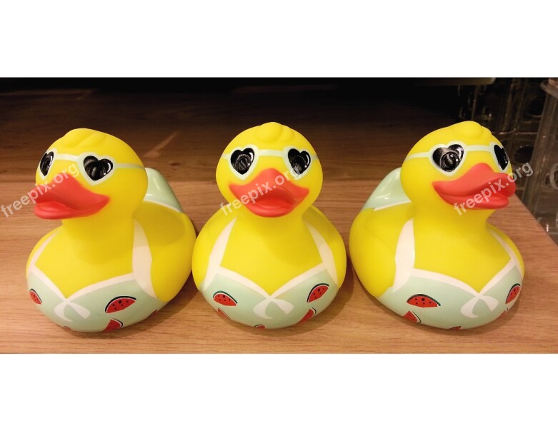 Ducks Plastic Beaks Hearts Bras Funny