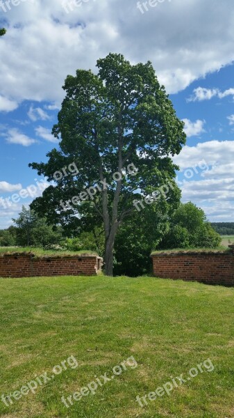 Oak Castle Ruins Outdoor Clouds