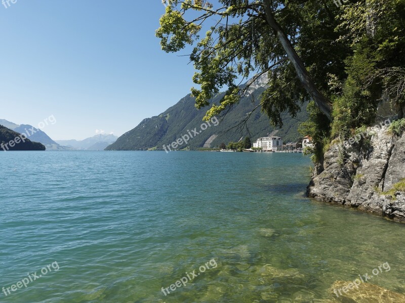 Lake Water Water's Edge Switzerland Lucerne