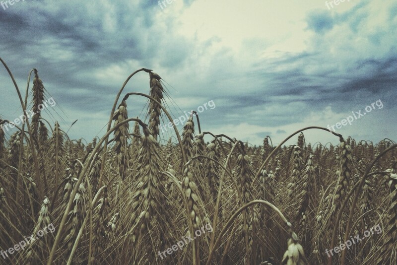 Land Landscape Outdoor Nature Field