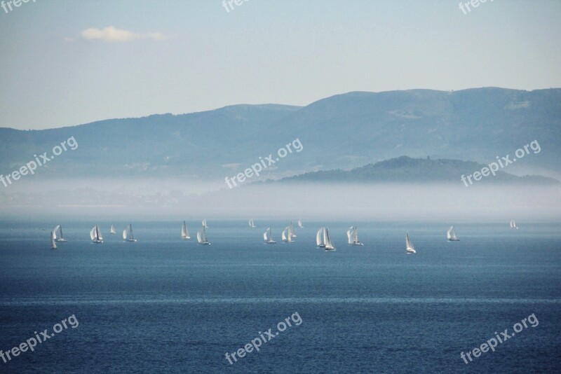 Land Landscape Sea Nature Summer