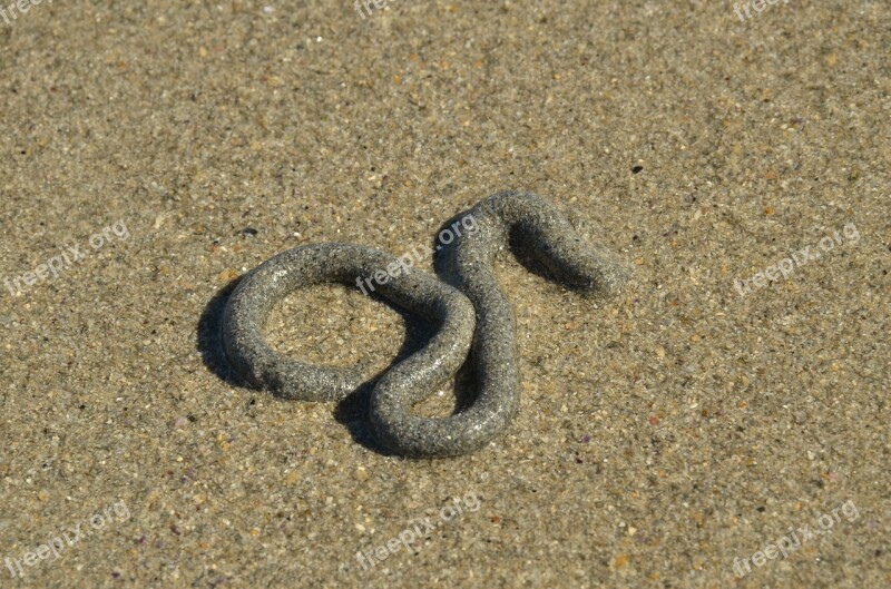 Sand Beach Worm Hose Pendulum