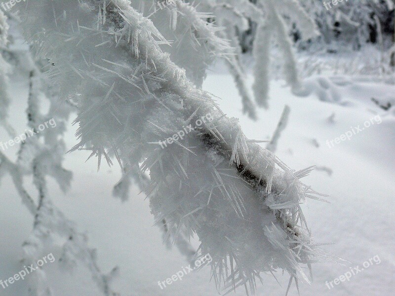 Winterimpression Winter Ice Frost Snow