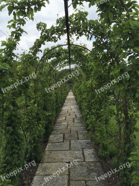 Love Tunnel Foliage Nature Forest