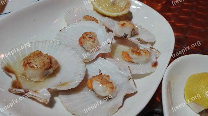 Shells Scallops Seafood Galicia Free Photos