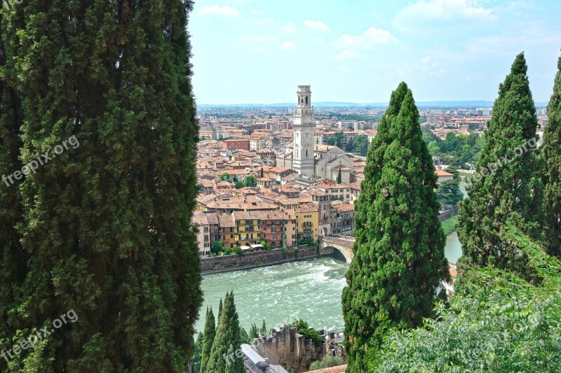 Verona Landscape View Castel San Pietro Poplars