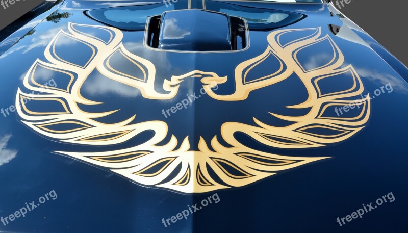 Pin Stripe Artistic Car Hood Design