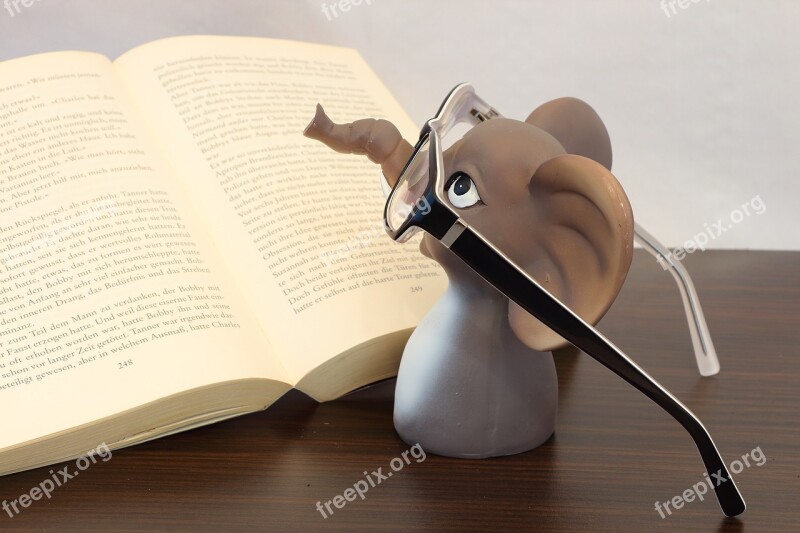 Elephant Glasses Book Read Reading Glasses