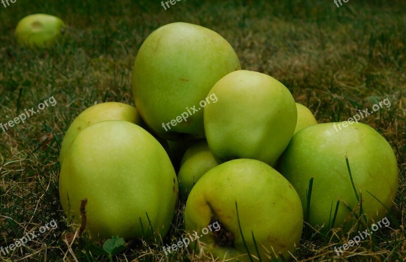 Apple Fruit Fruits Obsthaufen Obstfall