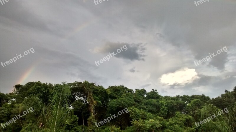 Forest Gray Skies Clouds Brazil Bertioga