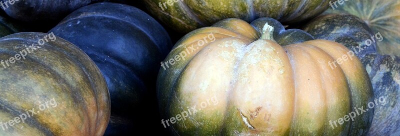 Pumpkin Autumn Thanksgiving Decoration Harvest