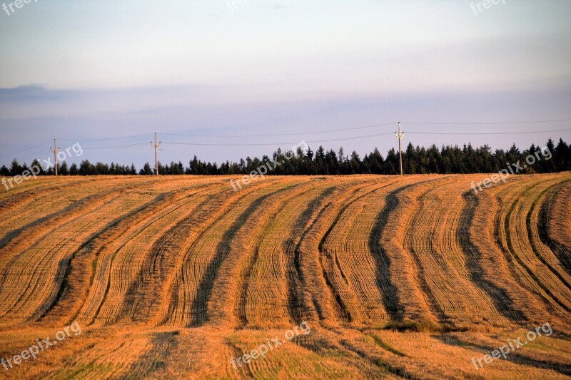 Field Harvested The Undulating After The Harvest Striped