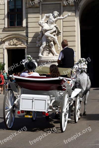 Vienna Horse Drawn Carriage Austria Coach Horses