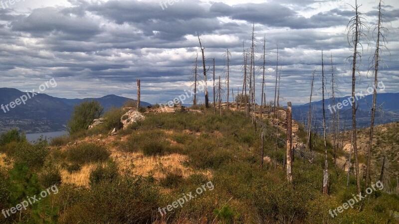 Hiking Okanagan Fire Free Photos